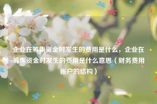 企业在筹集资金时发生的费用是什么，企业在筹集资金时发生的费用是什么意思（财务费用账户的结构）