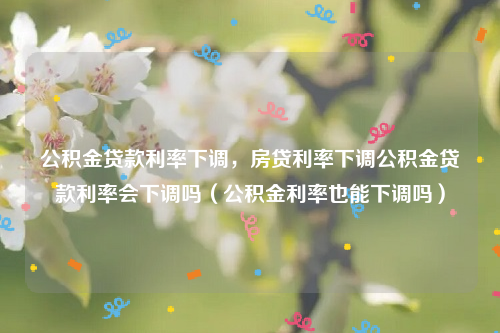 公积金贷款利率下调，房贷利率下调公积金贷款利率会下调吗（公积金利率也能下调吗）