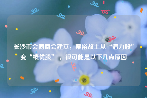 长沙市会同商会建立，粟裕故土从“潜力股”变“绩优股” ，很可能是以下几点原因