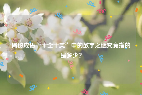 揭秘成语“十全十美”中的数字之谜究竟指的是多少？