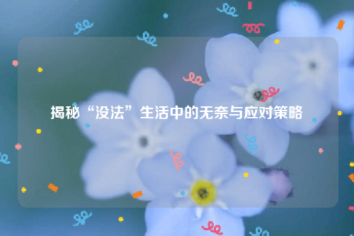 揭秘“没法”生活中的无奈与应对策略