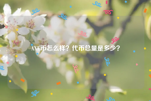 AXE币怎么样？代币总量是多少？