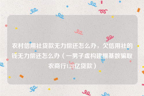 农村信用社贷款无力偿还怎么办，欠信用社的钱无力偿还怎么办（一男子虚构建棚基数骗取农商行1.28亿贷款）