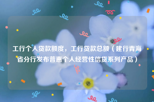 工行个人贷款额度，工行贷款总额（建行青海省分行发布普惠个人经营性信贷系列产品）