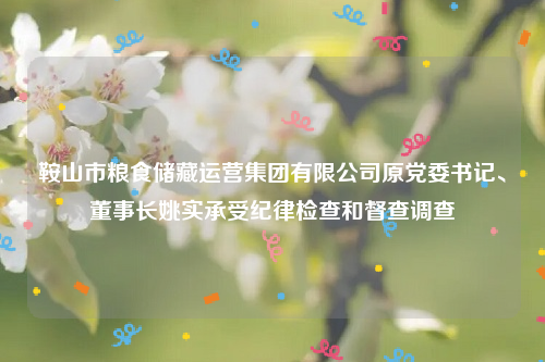 鞍山市粮食储藏运营集团有限公司原党委书记、董事长姚实承受纪律检查和督查调查