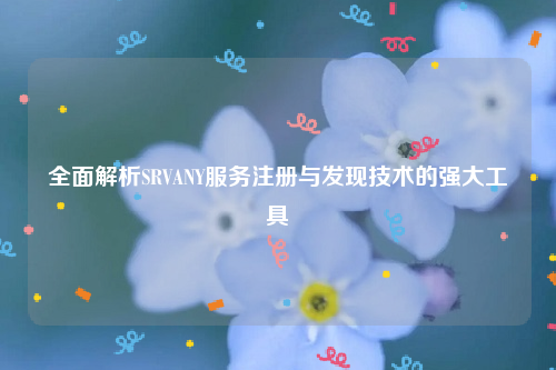 全面解析SRVANY服务注册与发现技术的强大工具