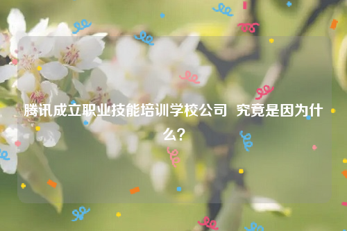 腾讯成立职业技能培训学校公司  究竟是因为什么？