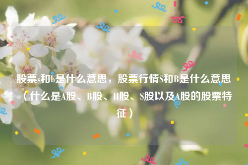 股票s和b是什么意思，股票行情S和B是什么意思（什么是A股、B股、H股、S股以及A股的股票特征）