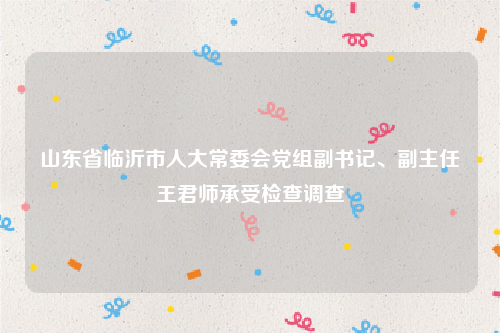 山东省临沂市人大常委会党组副书记、副主任王君师承受检查调查