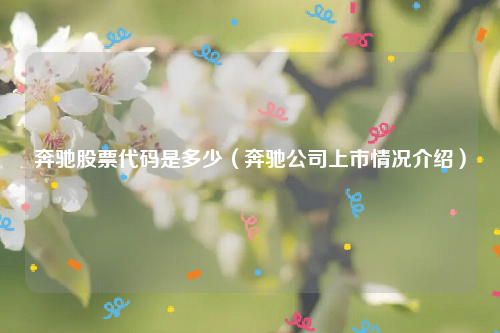 奔驰股票代码是多少（奔驰公司上市情况介绍）