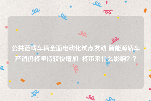 公共范畴车辆全面电动化试点发动 新能源轿车产销仍将坚持较快增加  将带来什么影响？？