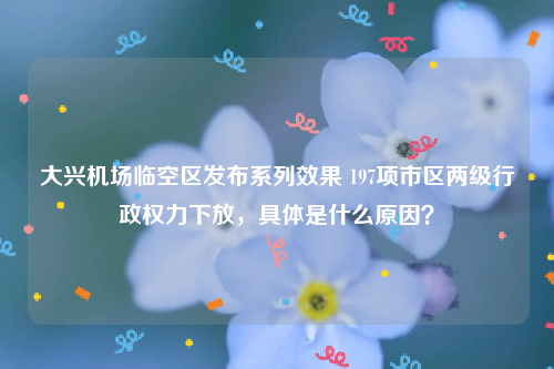 大兴机场临空区发布系列效果 197项市区两级行政权力下放，具体是什么原因？