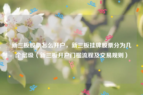 新三板股票怎么开户，新三板挂牌股票分为几个层级（新三板开户门槛流程及交易规则）