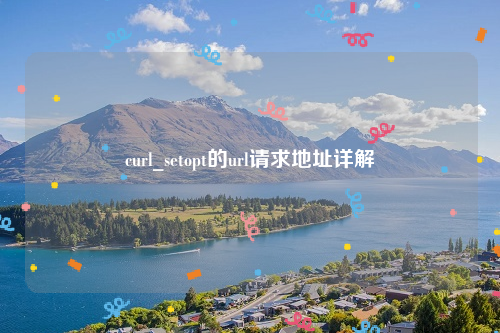 curl_setopt的url请求地址详解