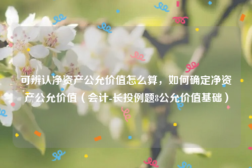 可辨认净资产公允价值怎么算，如何确定净资产公允价值（会计-长投例题8公允价值基础）