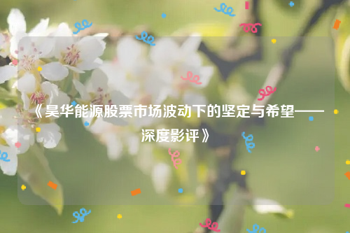 《昊华能源股票市场波动下的坚定与希望——深度影评》