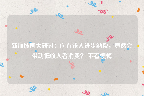 新加坡国大研讨：向有钱人进步纳税，竟然会带动低收入者消费？ 不看懊悔