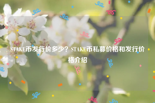 STAKE币发行价多少？STAKE币私募价格和发行价格介绍