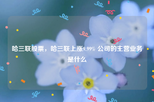 哈三联股票，哈三联上涨9.99% 公司的主营业务是什么