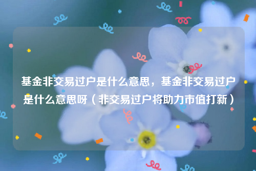 基金非交易过户是什么意思，基金非交易过户是什么意思呀（非交易过户将助力市值打新）