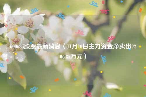 600685股票最新消息（11月10日主力资金净卖出9206.85万元）