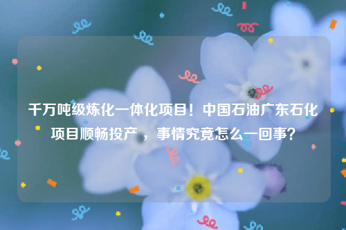 千万吨级炼化一体化项目！中国石油广东石化项目顺畅投产 ，事情究竟怎么一回事？