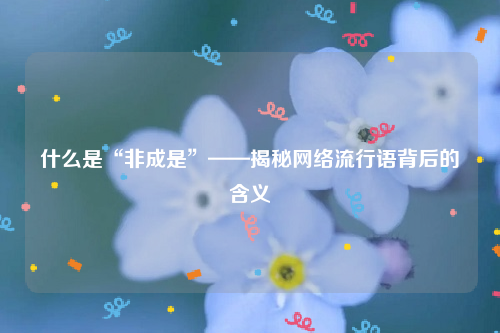 什么是“非成是”——揭秘网络流行语背后的含义