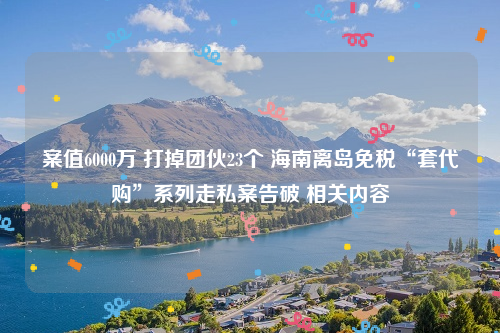 案值6000万 打掉团伙23个 海南离岛免税“套代购”系列走私案告破 相关内容