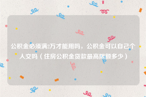 公积金必须满2万才能用吗，公积金可以自己个人交吗（住房公积金贷款最高限额多少）