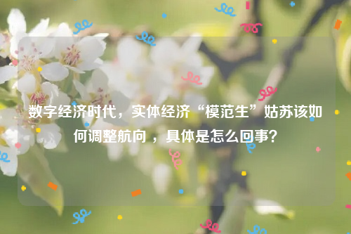 数字经济时代，实体经济“模范生”姑苏该如何调整航向 ，具体是怎么回事？