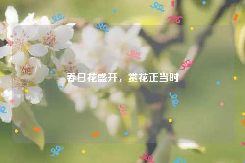 春日花盛开，赏花正当时