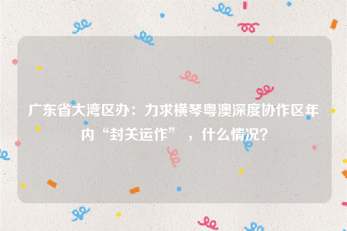 广东省大湾区办：力求横琴粤澳深度协作区年内“封关运作” ，什么情况？