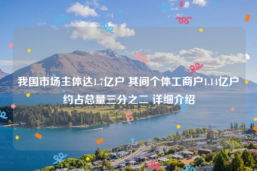 我国市场主体达1.7亿户 其间个体工商户1.14亿户约占总量三分之二 详细介绍