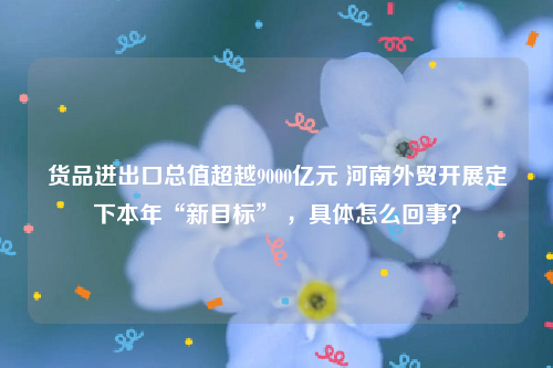 货品进出口总值超越9000亿元 河南外贸开展定下本年“新目标” ，具体怎么回事？