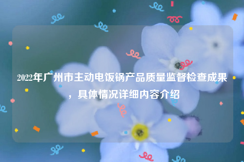 2022年广州市主动电饭锅产品质量监督检查成果 ，具体情况详细内容介绍