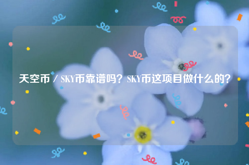 天空币／SKY币靠谱吗？SKY币这项目做什么的？