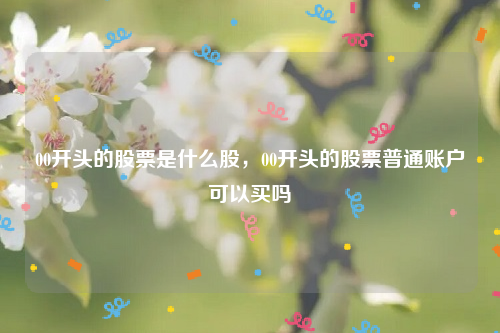 00开头的股票是什么股，00开头的股票普通账户可以买吗