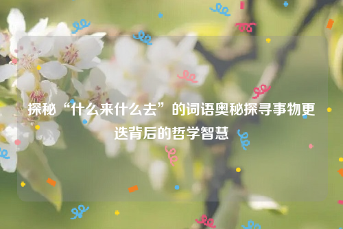 探秘“什么来什么去”的词语奥秘探寻事物更迭背后的哲学智慧