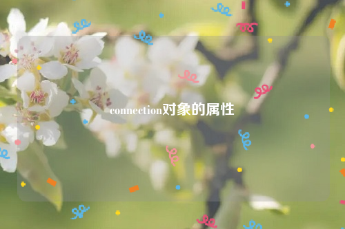 connection对象的属性