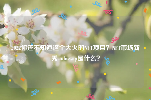 2022你还不知道这个大火的NFT项目？NFT市场新秀sudoswap是什么？