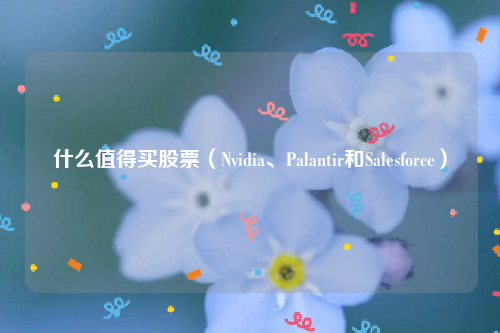 什么值得买股票（Nvidia、Palantir和Salesforce）