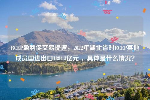 RCEP盈利促交易提速，2022年湖北省对RCEP其他成员国进出口1884.3亿元 ，具体是什么情况？