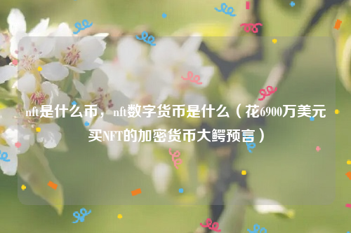 nft是什么币，nft数字货币是什么（花6900万美元买NFT的加密货币大鳄预言）