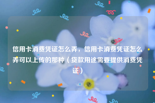 信用卡消费凭证怎么弄，信用卡消费凭证怎么弄可以上传的那种（贷款用途需要提供消费凭证）