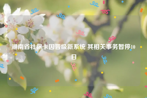 湖南省社保卡因晋级新系统 其相关事务暂停10日