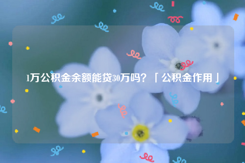 1万公积金余额能贷30万吗？「公积金作用」