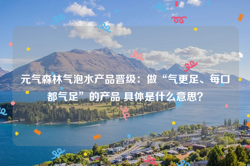 元气森林气泡水产品晋级：做“气更足、每口都气足”的产品 具体是什么意思？