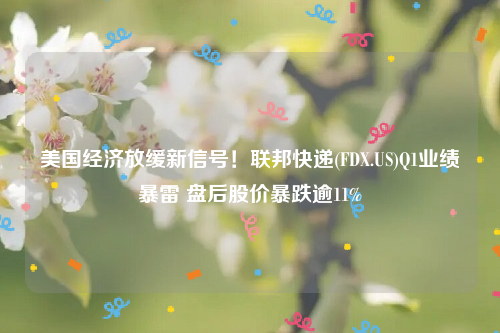 美国经济放缓新信号！联邦快递(FDX.US)Q1业绩暴雷 盘后股价暴跌逾11%