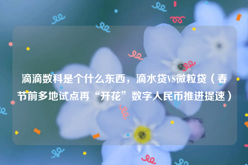 滴滴数科是个什么东西，滴水贷VS微粒贷（春节前多地试点再“开花”数字人民币推进提速）