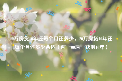 20万房贷10年还每个月还多少，20万房贷10年还每个月还多少合适（两“00后”获刑10年）